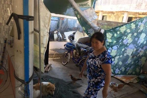 Vụ chó cắn 6 học sinh: Chó không được tiêm phòng dại