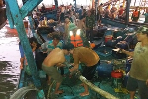 51 thuyền viên gặp nạn trên biển