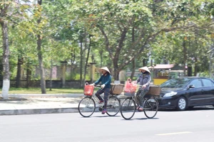 Quảng Nam: Nắng nóng, cuộc sống đảo lộn