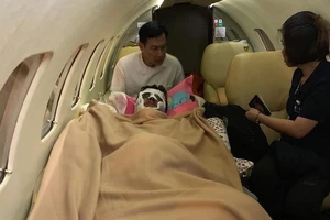 Vụ cắt chân Việt Kiều ở Quảng Ngãi: Hé lộ chân dung hung thủ