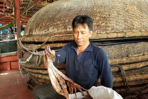 Ngư dân khóc ròng vì thương lái Trung Quốc không mua mực