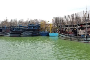 930 tấn mực khô ứ đọng vì Trung Quốc không mua