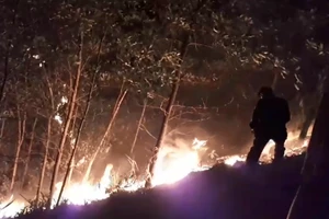 Cháy rừng lớn tại Quảng Nam, thiệt hại hàng trăm ha