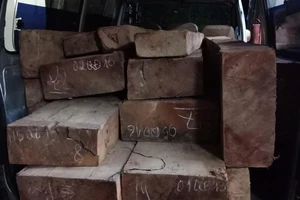 CSGT truy đuổi xe chở gỗ lậu như phim hành động