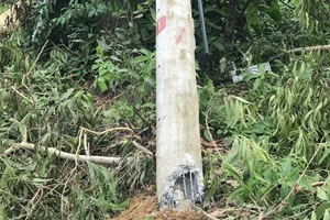 Điện lực Miền Trung nói về các cột điện bị gãy ở Huế