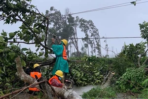 401.875 khách hàng bị mất điện vì bão, EVNCPC vượt mưa lũ sửa chữa cho dân