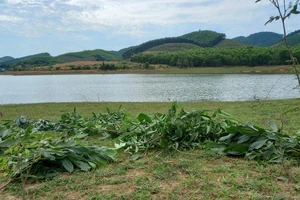 2 anh em ruột chết đuối khi thả lưới trên hồ