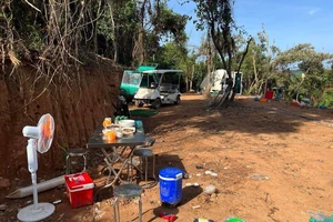 Đà Nẵng: Rừng Hải Vân bị 1 đơn vị san ủi trái phép