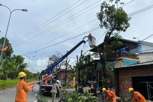 Điện lực miền Trung thành lập 28 đội xung kích, tập trung toàn lực ứng phó bão Noru