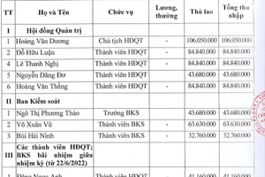 Mức lương của lãnh đạo Công ty cấp thoát nước Quảng Ngãi