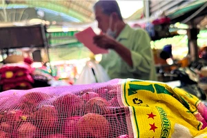 Hành tím Ấn Độ bán ở chợ giá 20.000-25.000 đồng/kg