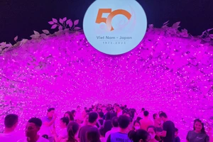 Biển người check in với nửa triệu bóng đèn LED ven sông Hàn