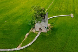 Chùm ảnh: Lò gạch cũ bỏ hoang thành nơi check in nổi tiếng