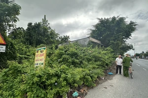 Chủ tịch Quảng Nam chỉ đạo giải quyết vụ hộ dân phản ánh bị đo thiếu 210 m2 đất 