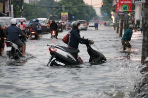 Đô thị Việt Nam đang phát triển theo tư duy m2