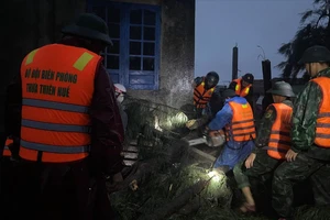 Mưa lớn và lốc xoáy ở Huế khiến cây đổ, nhà tốc mái.