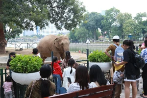 Công viên Thủ Lệ đông nghịt người dịp nghỉ Tết Dương lịch 2024