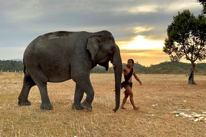 Tây Nguyên bước vào mùa đẹp nhất trong năm.