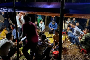 Công an vây bắt nhiều người đánh bạc giữa rừng tràm