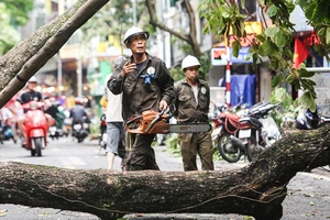 Đà Nẵng đưa 2 tổ công tác 'chi viện' TP Hà Nội và Hải Phòng khắc phục hậu quả cơn bão số 3