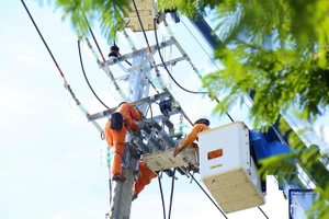 Công ty Điện lực Đà Nẵng sẵn sàng việc cấp điện an toàn trong dịp Lễ 2-9