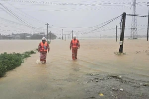 Điện lực trực 24/24h, khôi phục điện ngay khi miền Trung ngớt lũ