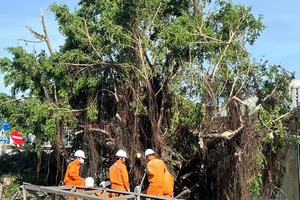 Hơn 1,6 triệu khách hàng miền Trung 'chìm trong bóng tối' vì bão số 13