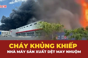Cháy kinh hoàng nhà máy trong Khu công nghiệp ở Đồng Nai