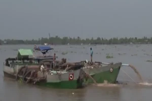 Đầu năm bắt 2 sà lan tải trọng lớn hút cát sông Tiền