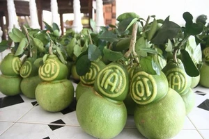 'Cháy hàng' bưởi hồ lô tạo hình Tài Lộc