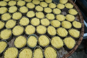 Hơn 10 tấn mì sợi tẩm hàn the