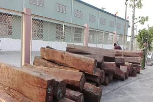 Xe đầu kéo chở gỗ căm xe không rõ nguồn gốc