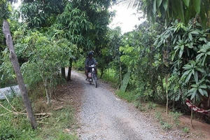 Chưa xử lý về mặt chính quyền phó chủ tịch TP Cao Lãnh