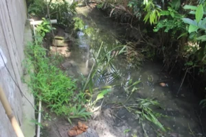 Thương tâm bé 13 tuổi bị điện giật tử vong dưới ao