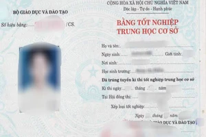 Trưởng ban tổ chức huyện ủy bị kỷ luật vì không có bằng THCS