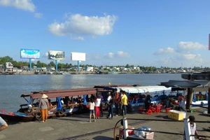 Cần Thơ: Đưa phương tiện vào bến sẽ hết nạn cò mồi?