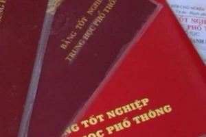 Vĩnh Long: Phó công an xã bị kỷ luật vì dùng bằng giả