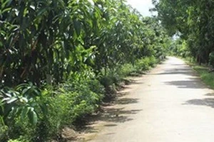 Bãi nhiệm chức vụ phó chủ tịch TP Cao Lãnh