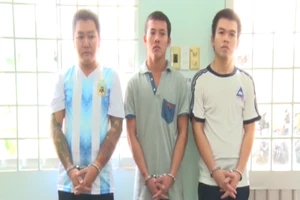 Băng nhóm gây 18 vụ trộm xe ở miền Tây