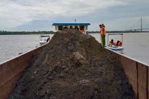 Cần Thơ, phát hiện hàng trăm khối cát không rõ nguồn gốc