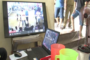 Vĩnh Long bắt 11 đối tượng đá gà qua mạng internet