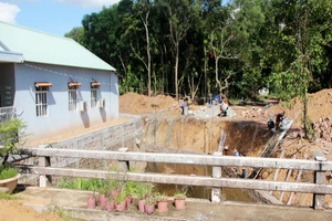 Hàng chục vụ phá rừng và lấn chiếm đất trái luật tại Phú Quốc