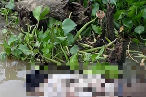 Tá hỏa phát hiện một thi thể đang trôi khi đi thăm bè cá