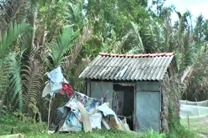 Kinh hoàng: Giết người, giấu xác trong lu cám