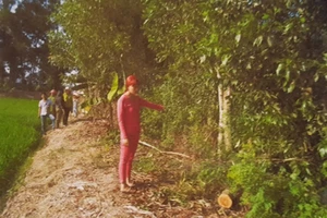 Hai thiếu nữ giết bạn trai ở bờ kênh, cướp xe