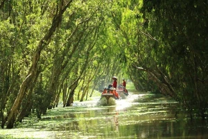 Du khách ngoại thích bắt cá, cưỡi xe bò... ở miền Tây 