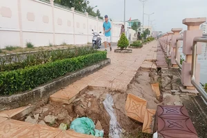 Kè chục tỉ ở Cần Thơ 'tan nát' sau hơn 2 năm sử dụng