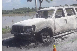 Con gái thuê người đốt xe làm chết cha ruột lãnh án