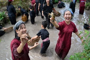 Về Miền Tây du xuân miệt vườn 