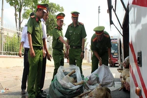 200kg thịt dê không có kiểm dịch trên xe khách